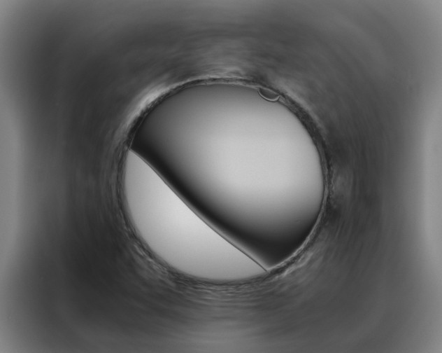 X0000088401455200705220811