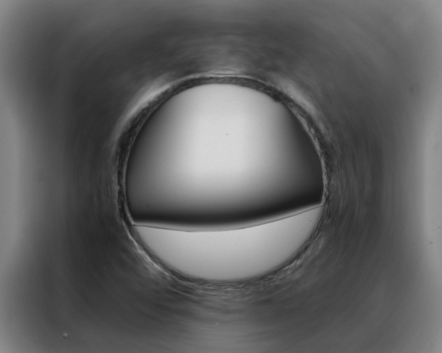 X0000088401456200705220811