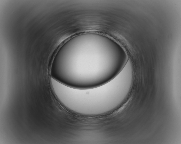 X0000088401457200705220811