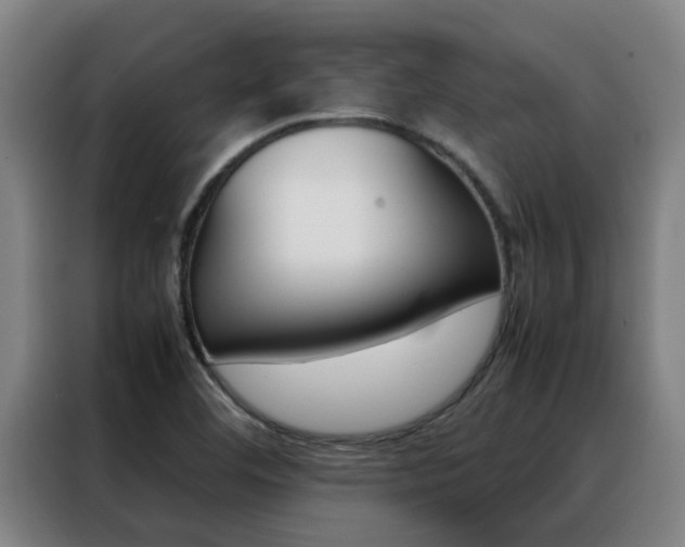 X0000088401460200705220811