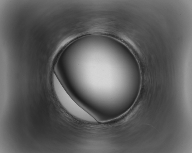 X0000088401461200705220811