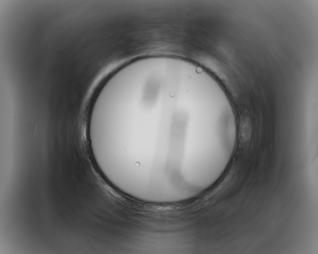 X0000088401462200705220811