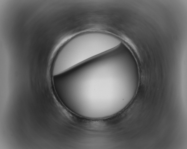 X0000088401464200705220811