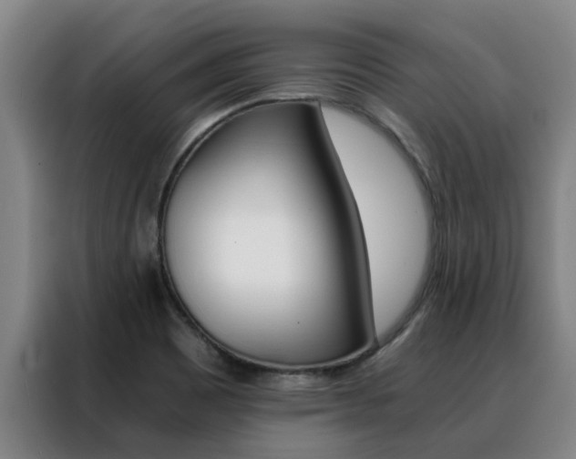 X0000088401465200705220811
