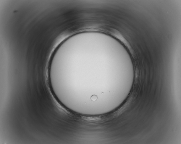 X0000088401466200705220811
