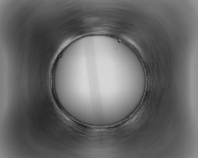 X0000088401467200705220811