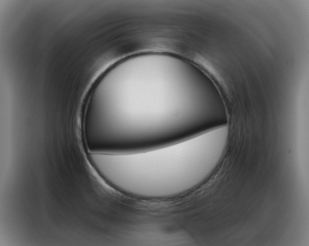 X0000088401468200705220811