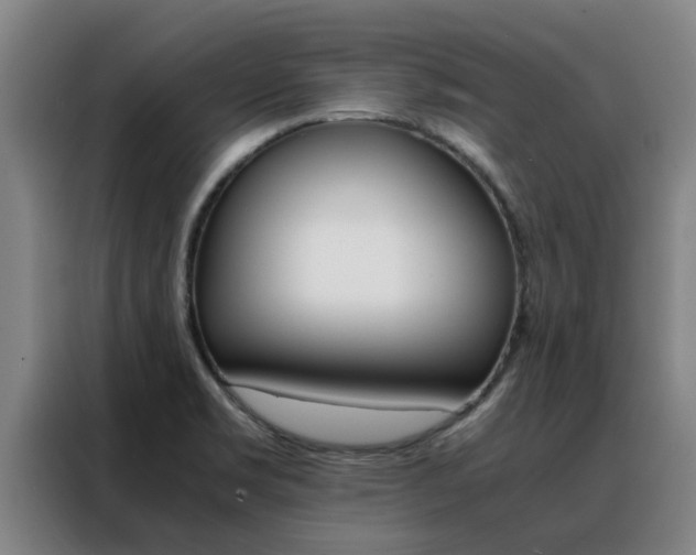 X0000088401469200705220811