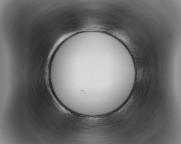 X0000088401470200705220811