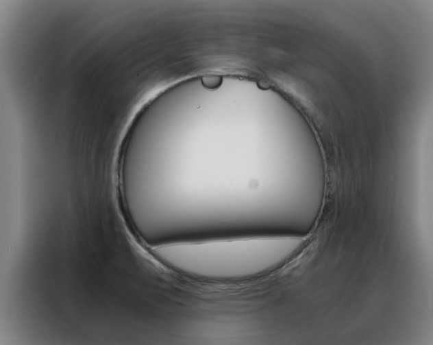 X0000088401471200705220811