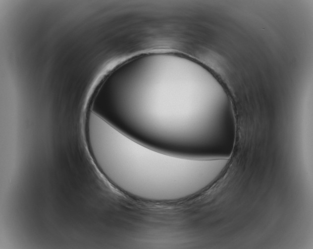 X0000088401472200705220811