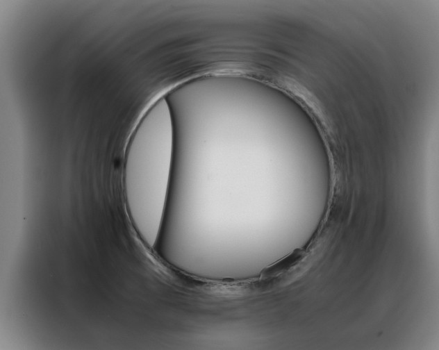X0000088401473200705220811