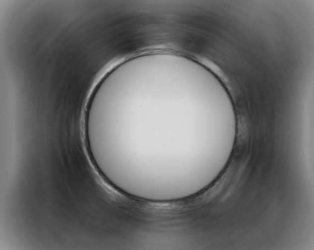 X0000088401474200705220811