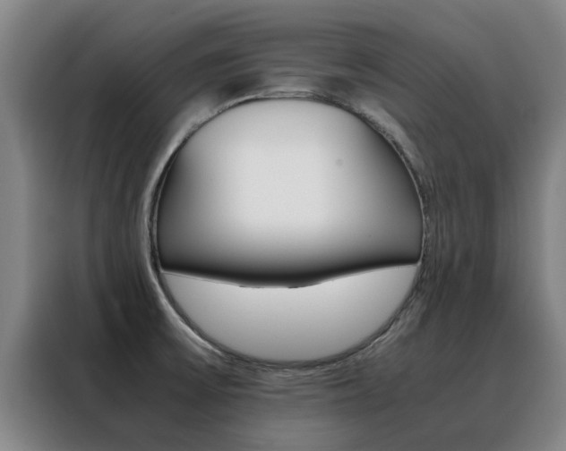 X0000088401475200705220811