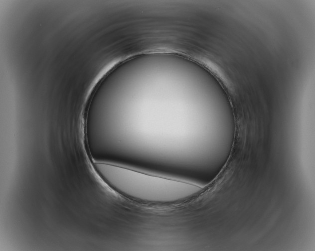 X0000088401476200705220811