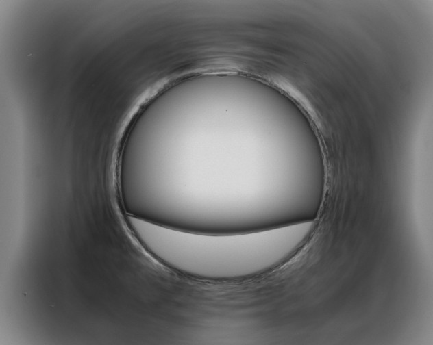 X0000088401477200705220811