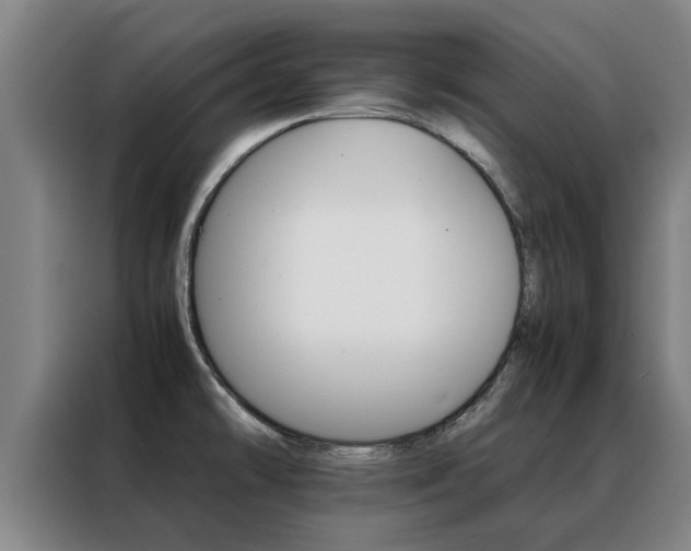 X0000088401478200705220811