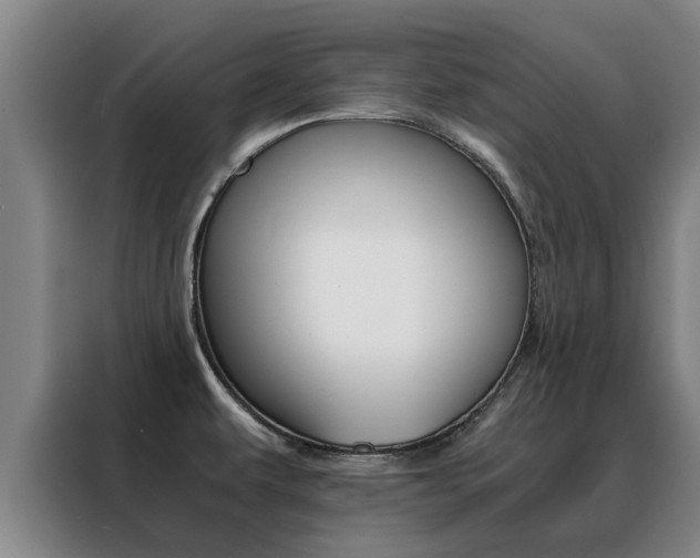 X0000088401479200705220811