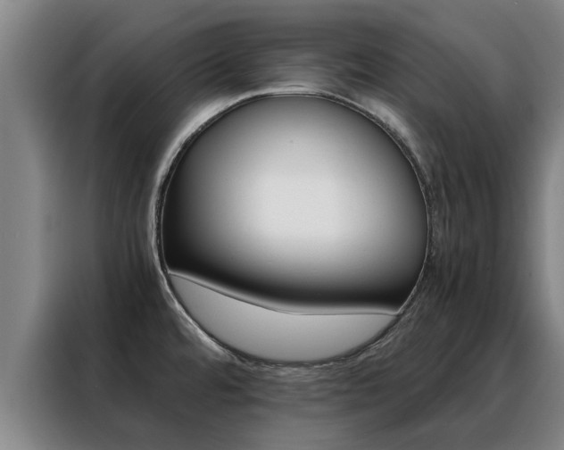 X0000088401480200705220811