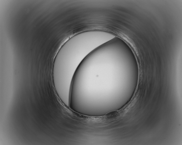 X0000088401481200705220811