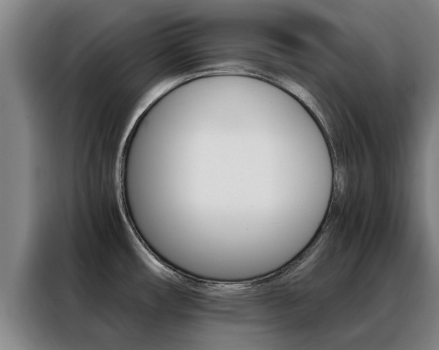 X0000088401482200705220811