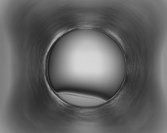 X0000088401483200705220811