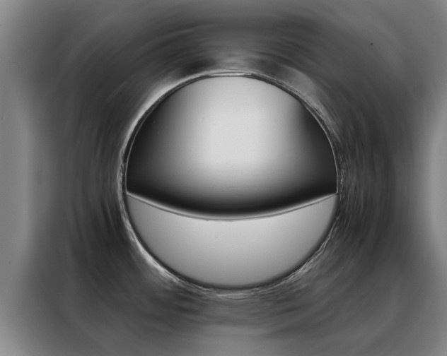 X0000088401484200705220811