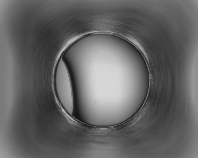 X0000088401485200705220811