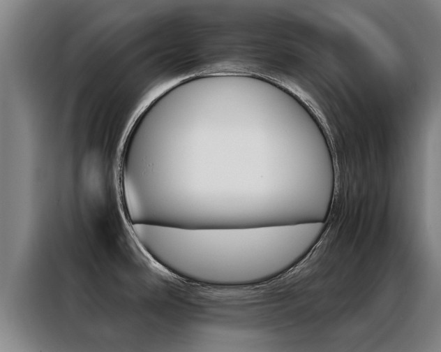 X0000088401486200705220811