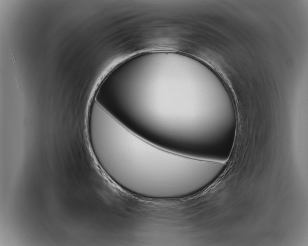 X0000088401488200705220811
