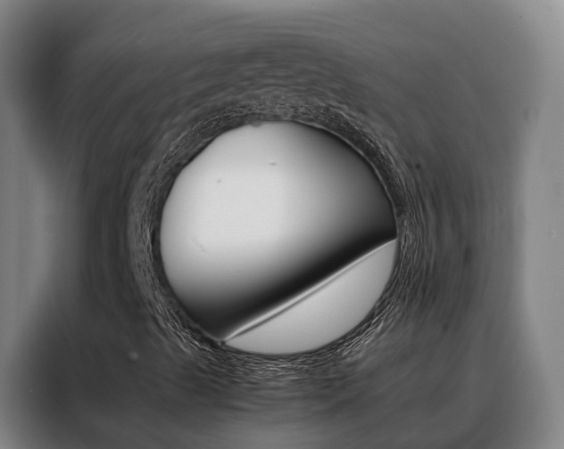 X0000088401489200705220810