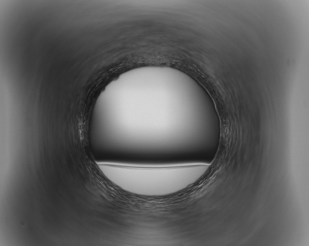 X0000088401490200705220810