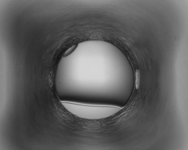 X0000088401491200705220810