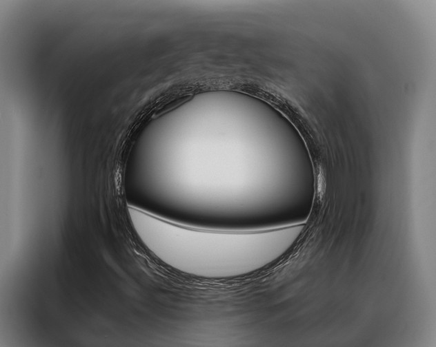 X0000088401492200705220810