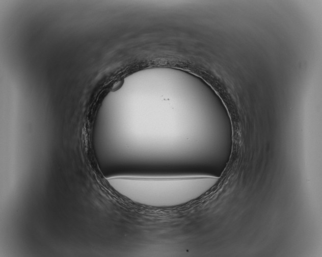 X0000088401493200705220810