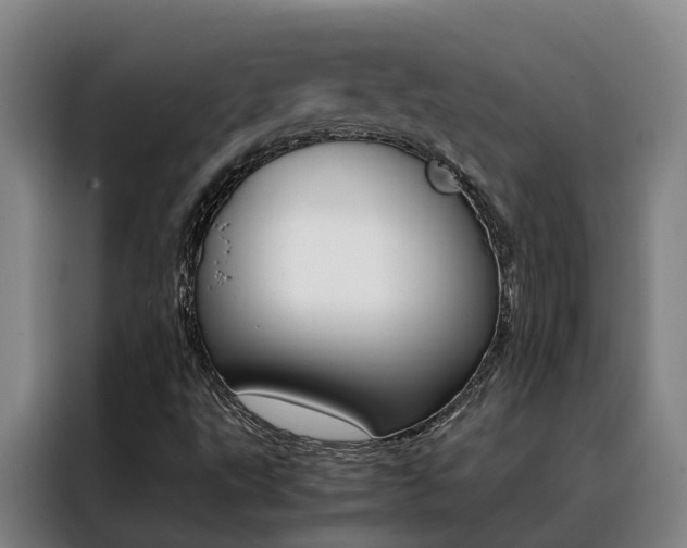 X0000088401495200705220810