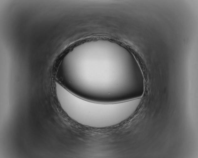 X0000088401496200705220810