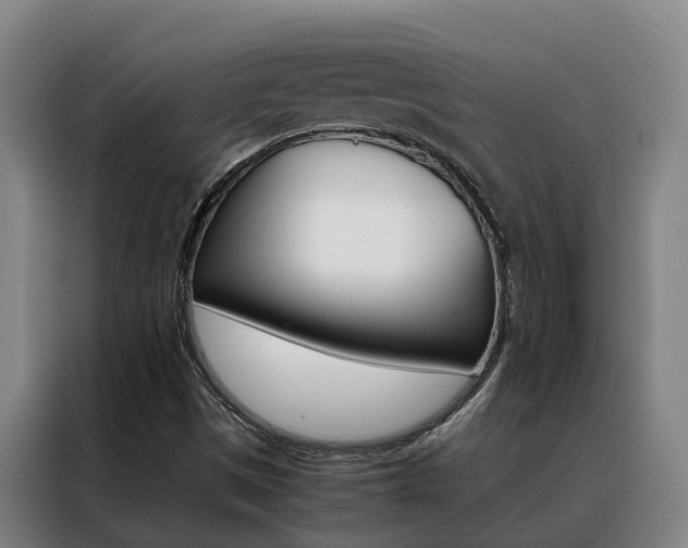 X0000088401497200705220810