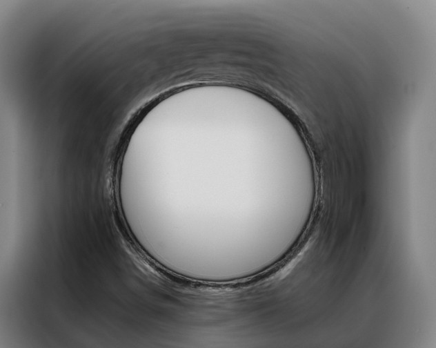 X0000088401498200705220810