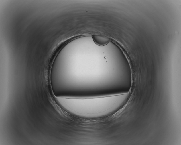 X0000088401499200705220810