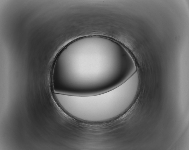 X0000088401500200705220810