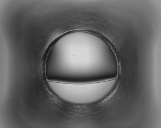 X0000088401501200705220810