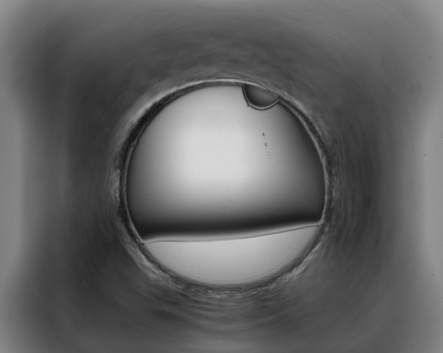 X0000088401503200705220810
