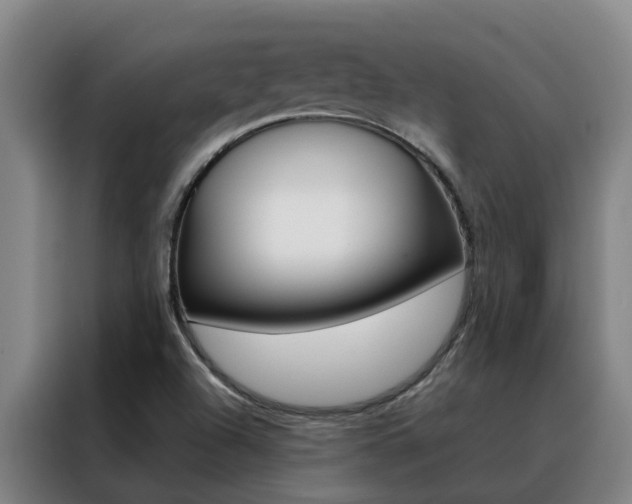 X0000088401504200705220810