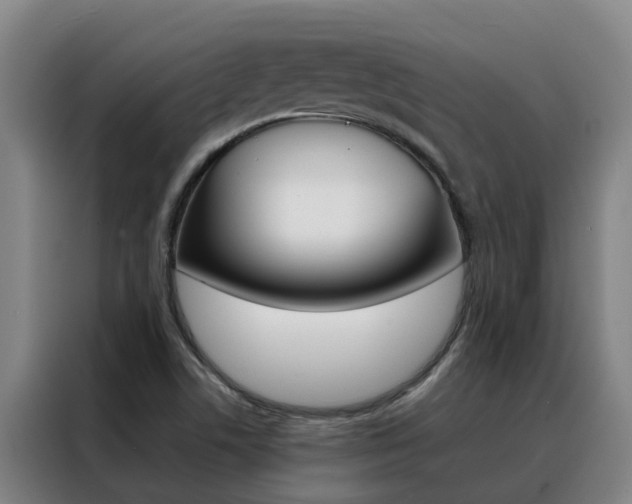 X0000088401506200705220810