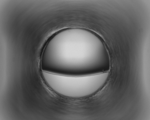 X0000088401507200705220810