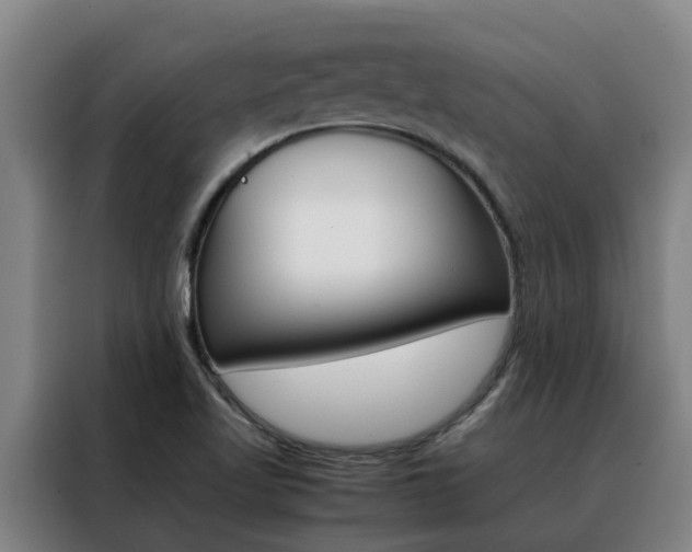 X0000088401509200705220810