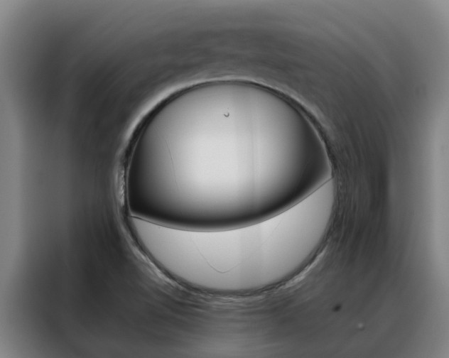 X0000088401510200705220811