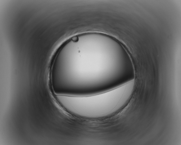 X0000088401511200705220811