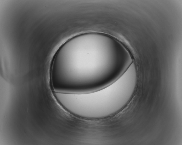 X0000088401512200705220811
